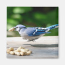 Recherche de gar magnets Jour