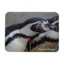 Recherche de penguin magnete Pour tous