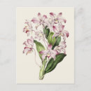 Recherche de botanique antique cartes postales Floral
