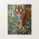 Recherche de tigre de marche Jungle