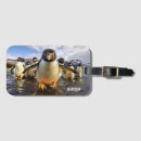 Recherche de pingouins bagages étiquettes Drôle