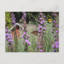 Recherche de prairie cartes postales Fleur