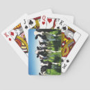 Recherche de vache à ferme jeux de cartes Nature