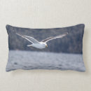 Recherche de mouette décoration coussins Ailes