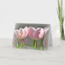 Zoek naar roze tulpen kaarten Natuur