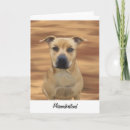 Recherche de bull terrier vœux cartes Pitbull