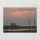 Recherche de dauphin cartes postales Plage