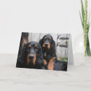 Zoek naar forever friends briefkaarten Hond