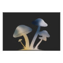 Recherche de champignons posters Forêt
