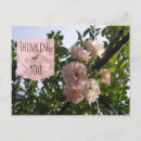 Recherche de pensez le rose Amis