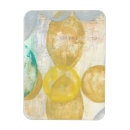 Recherche de goldberg magnete Géométrique