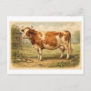 Zoek naar boerenerf briefkaarten Vintage