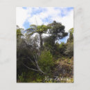 Recherche de jungles cartes postales Voyage