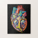 Recherche de corps humain puzzles Biologie