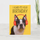 Recherche de boston terrier birthday Chiot