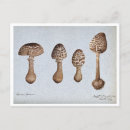 Zoek naar parasols briefkaarten Vintage