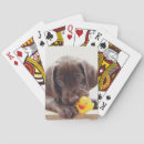 Recherche de chocolat jeux de cartes Animal
