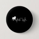 Recherche de caniche standard badges Carlin