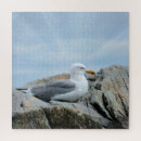 Recherche de mouette puzzles Rivage