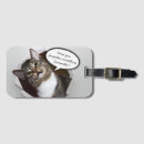 Recherche de message bagages étiquettes Chat