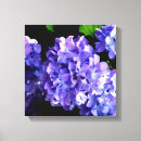 Recherche de pourpre impressions sur toile Fleur