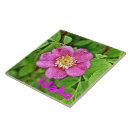 Recherche de floor carreaux Fleur sauvage