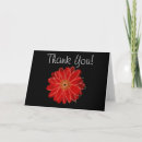 Recherche de marguerite rouge cartes postales Noir