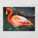 Recherche de inspire cartes postales Citation inspirante