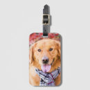Recherche de golden retriever bagages étiquettes Mignon