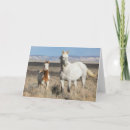 Recherche de chevaux sauvages vœux cartes Pays