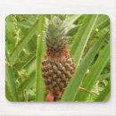 Zoek naar ananas muismatten Vrucht