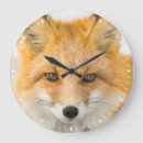 Recherche de roux horloges Faune