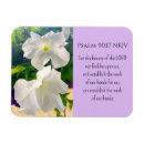 Recherche de pétunia maison deco Fleurs