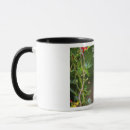 Recherche de psaume 118 24 tasses Vers