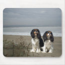 Recherche de cavaliers tapis souris Épagneul