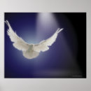 Recherche de projecteur art Oiseau