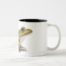 Recherche de reptile tasses Animal