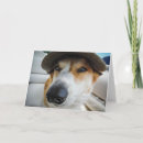 Zoek naar corgi verjaardagskaarten Hond
