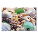 Zoek naar zee glas posters Ocean