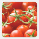 Recherche de tomate fraîche autocollants Mûr