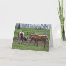 Recherche de cheval toutes vœux cartes Animal