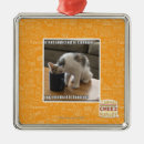 Zoek naar cafeïne ornamenten Ik kan cheezburger hebben