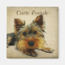 Recherche de akc Pour tous