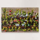 Recherche de grenouilles mignonnes puzzles Collection de grenouilles