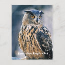 Recherche de aigle noir cartes postales Blanc