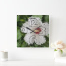 Recherche de fleurs blanches horloges Pour tous