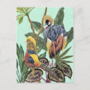 Recherche de feuille tropical cartes postales Oiseaux