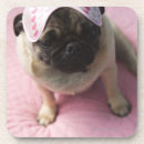 Recherche de chien carlin dessous de verres Rose