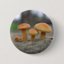Recherche de macro badges Champignons