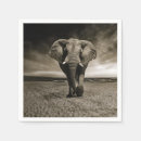 Zoek naar afrikaanse olifanten servetten Foto